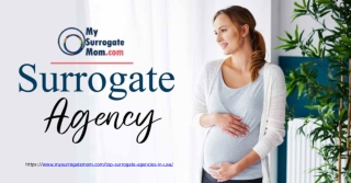 Navigate Surrogacy with Confidence: Choose MySurrogateMom's Surrogate Agency