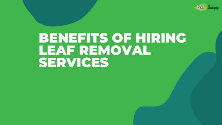 benefits of hiring leaf removal services