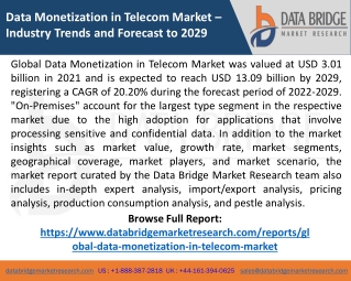 data monetization in telecom market industry