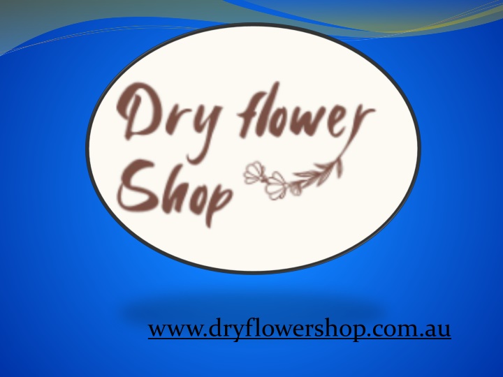 www dryflowershop com au