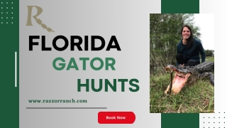 Florida Gator Hunts: Thrilling Adventures in the Sunshine State