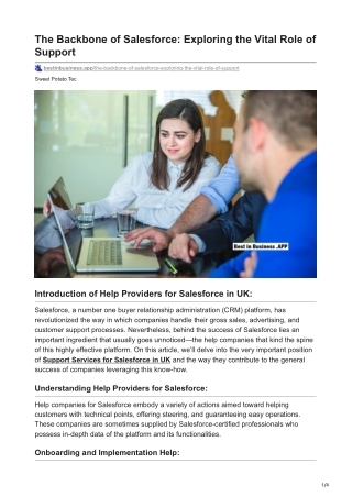 The Backbone of Salesforce: Exploring the Vital Role of Support Services for Sal