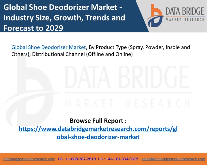 global shoe deodorizer market industry size