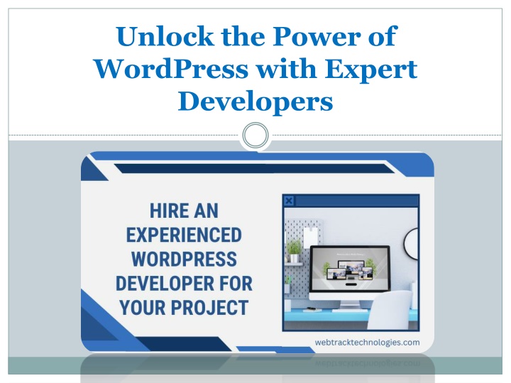 unlock the power of wordpress with expert developers