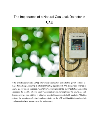 The Importance of a Natural Gas Leak Detector in UAE