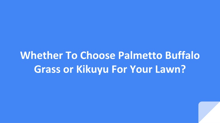 whether to choose palmetto buffalo grass or kikuyu for your lawn