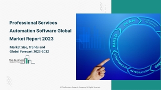 professional services