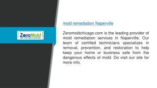 Mold Remediation Naperville Zeromoldchicago.com