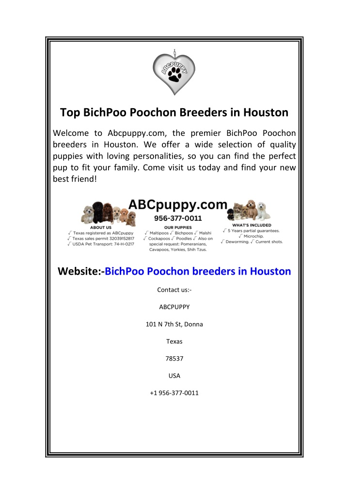 top bichpoo poochon breeders in houston