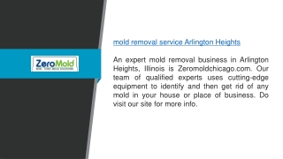 Mold Removal Service Arlington Heights Zeromoldchicago.com