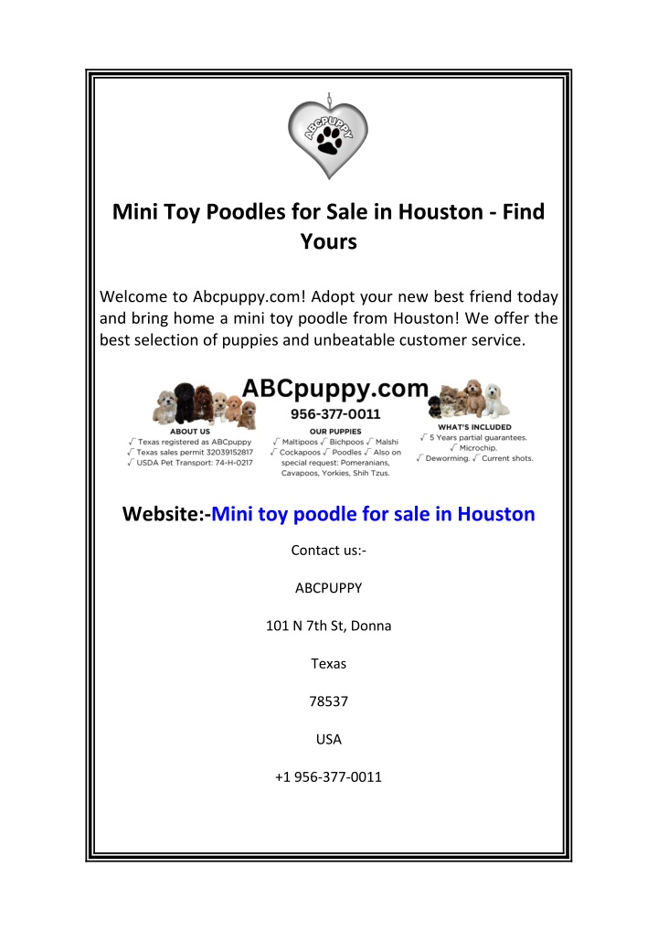 mini toy poodles for sale in houston find yours