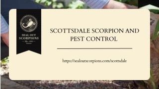 Scottsdale Scorpion and Pest Control: Keeping Your Home Safe and Pest-Free