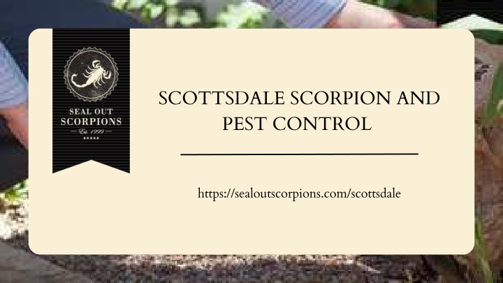 scottsdale scorpion and pest control