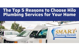 The Top 5 Reasons to Choose Hilo Plumbing Services for Your Home