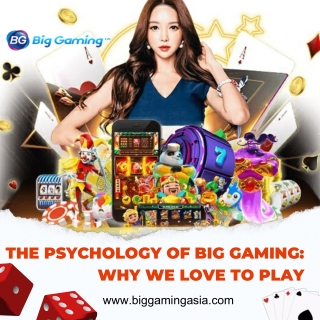 The Psychology of Big Gaming Why We Love to Play