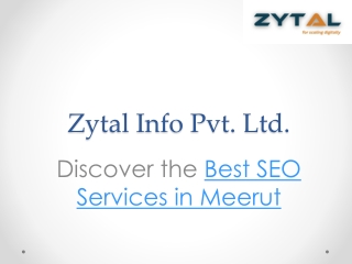 The #1 best SEO Agency in Meerut - Zytal Info