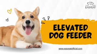 Elevated Feeding Made Easy: Introducing the EasyEat Dog Feeder