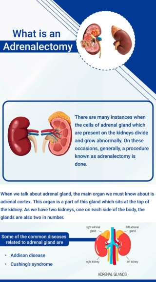Adrenalectomy (Adrenal Gland)
