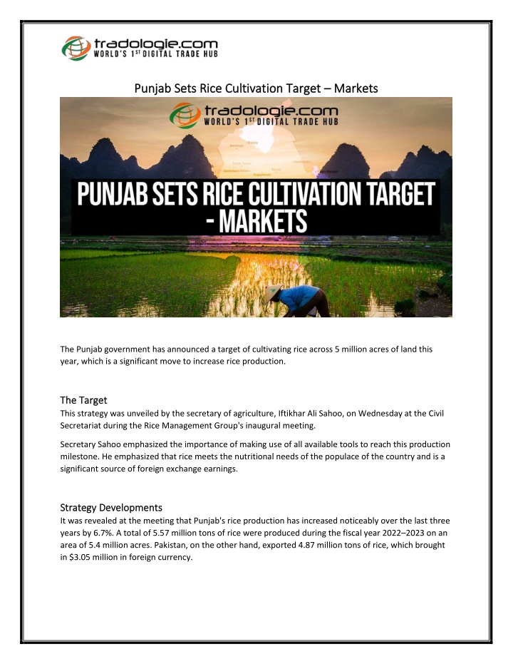 punjab sets rice cultivation target punjab sets