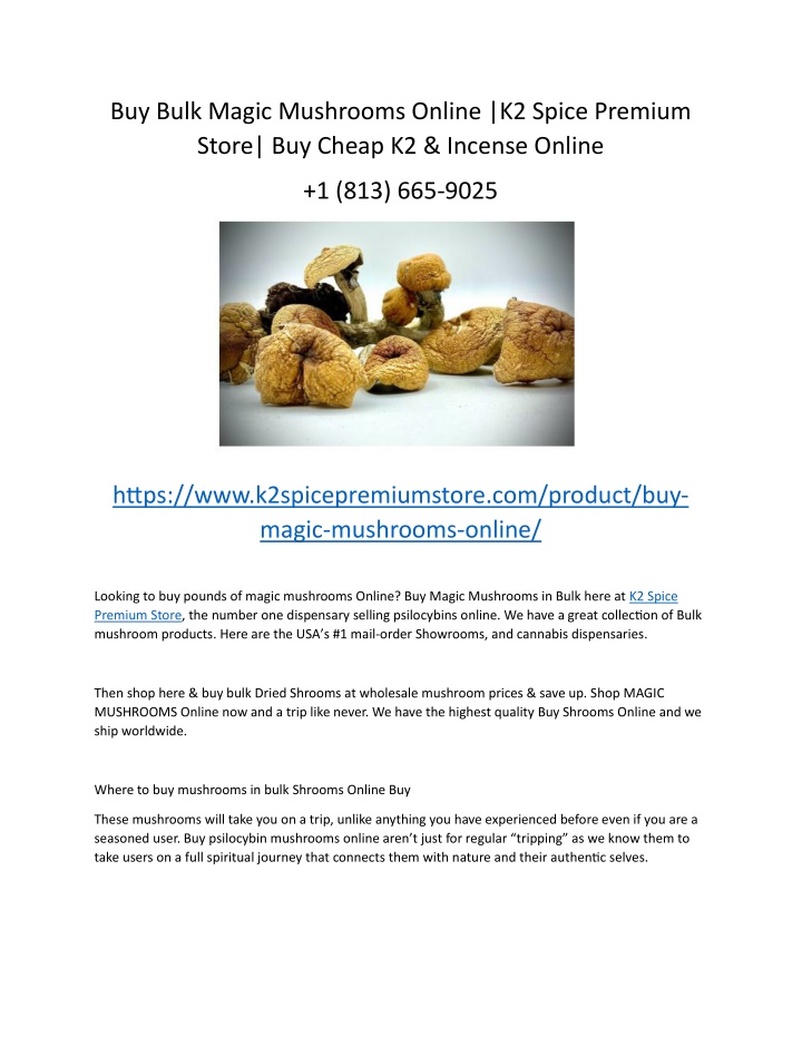 buy bulk magic mushrooms online k2 spice premium