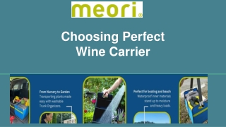 meori-Choosing Perfect  Wine Carrier