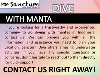 Dive With Manta