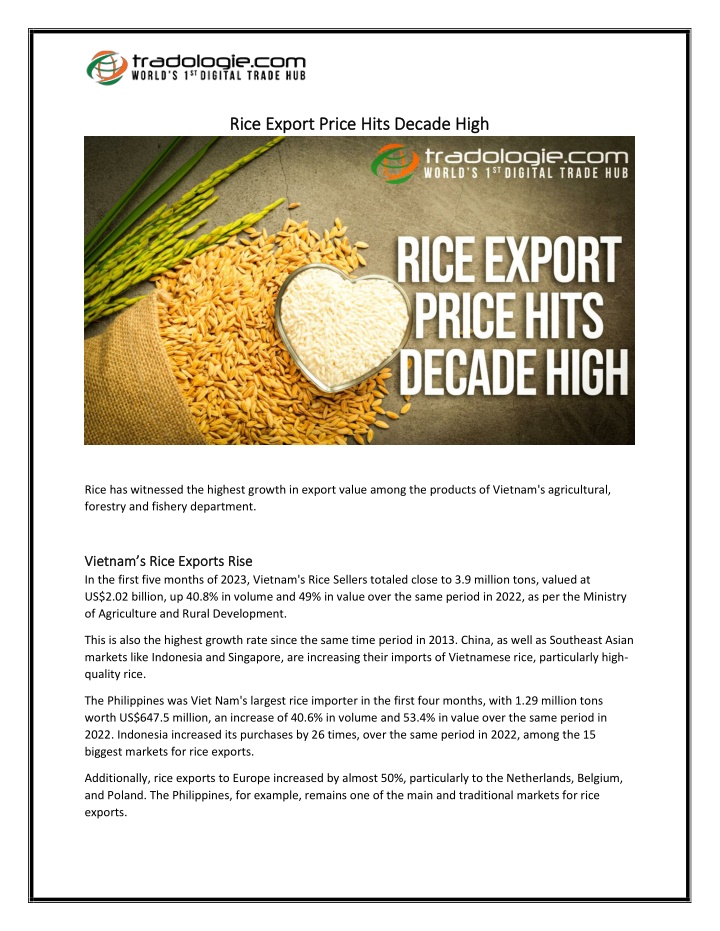 rice export price hits decade high rice export