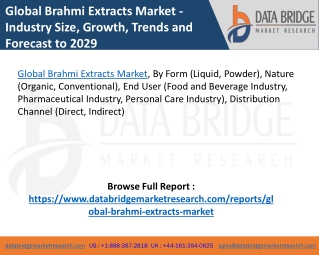 global brahmi extracts market industry size
