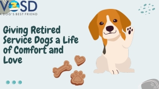 Giving Retired Service Dogs a Life of Comfort and Love