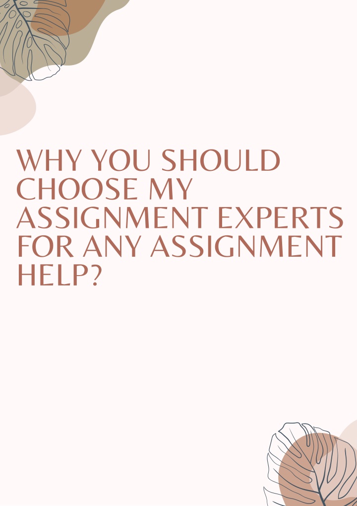why you should choose my assignment experts