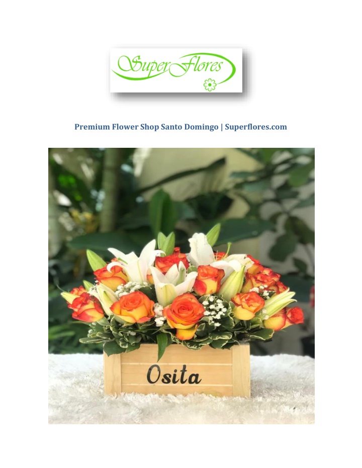 premium flower shop santo domingo superflores com