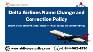 delta airlines name change and correction policy