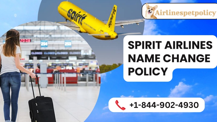 spirit airlines name change policy