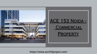 Ace 153 Noida Premium Apartments & Offices, Retail Shops