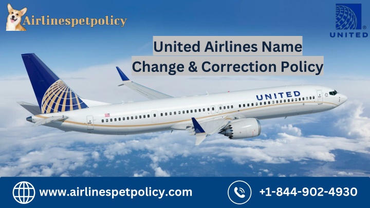 united airlines name change correction policy