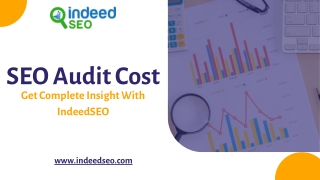 seo audit cost get complete insight with indeedseo