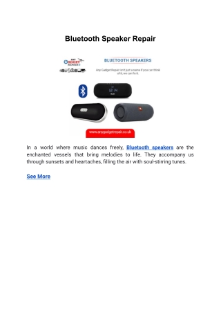 bluetooth speaker repair