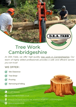 Tree Work Cambridgeshire