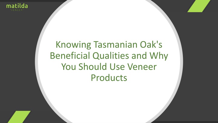 knowing tasmanian oak s beneficial qualities
