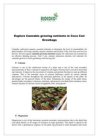 Explore Cannabis growing nutrients in Coco Coir Growbags