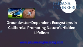 groundwater dependent ecosystems in california