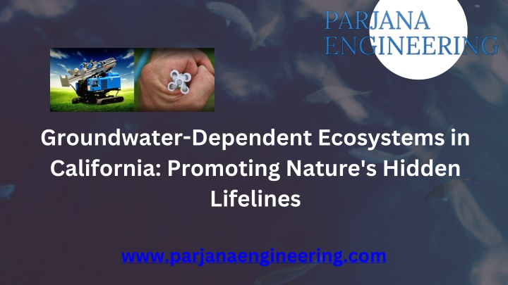 groundwater dependent ecosystems in california