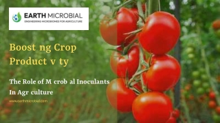 Boosting Crop Productivity - The Role of Microbial Inoculants In Agriculture