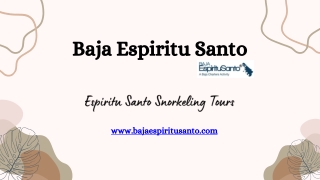 Beautiful Espiritu Santo Enjoy Snorkelling Tours