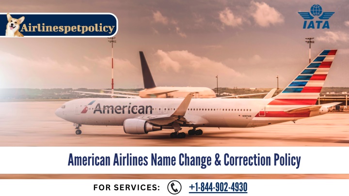 american airlines name change correction policy