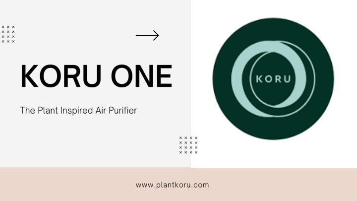 koru one