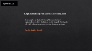 English Bulldog For Sale  Mpirebullz.com