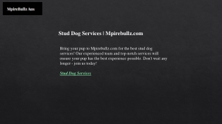 Stud Dog Services  Mpirebullz.com
