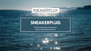 sneakerplug https sneakerplug co il product