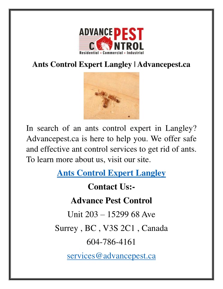 ants control expert langley advancepest ca